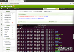 織夢(mèng)CMS,DedeCMS,安全策略,Linux