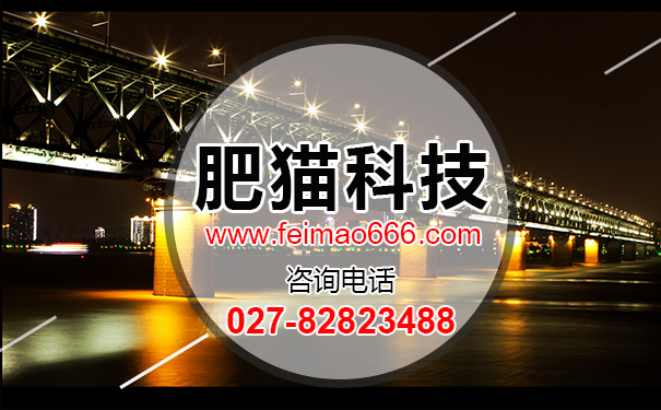 武漢做網(wǎng)站 請帶上這份網(wǎng)站建設(shè)指南