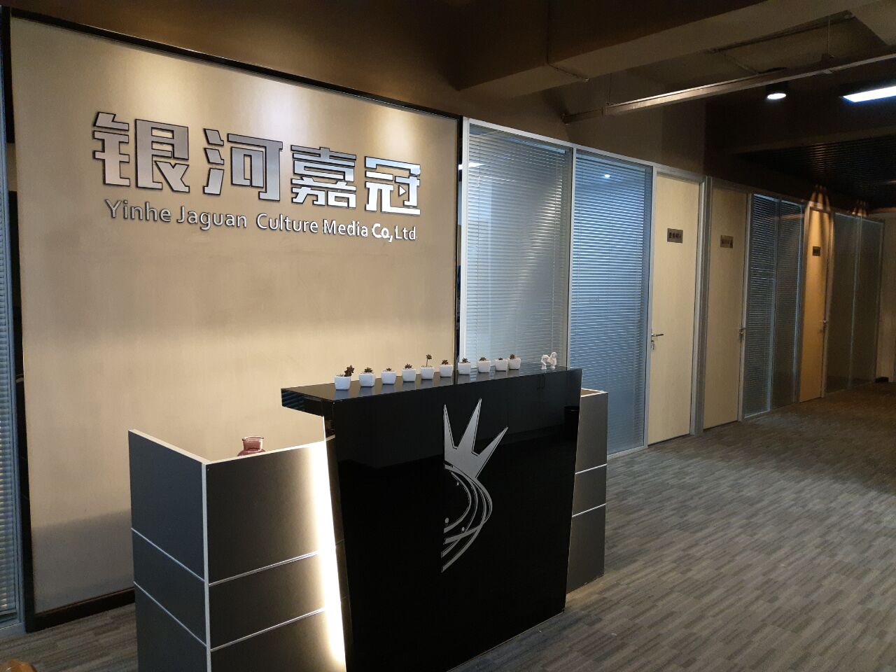 銀河嘉冠(武漢)文化傳媒有限公司