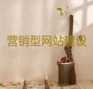 網(wǎng)站開發(fā)