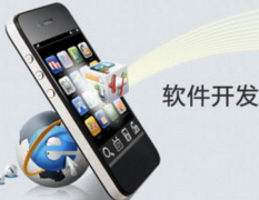 軟件開發(fā)