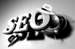 新手這樣正確學(xué)習(xí)SEO過度優(yōu)化景象